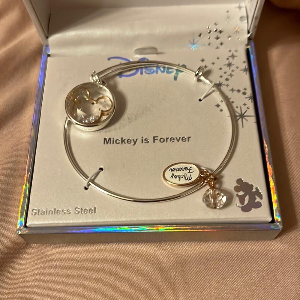 Disney charm bracelet